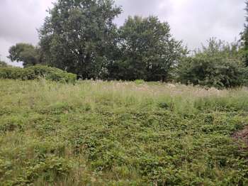 Vente de terrain Lanrelas 22