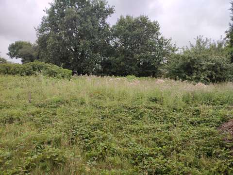 Vente de terrain Lanrelas 22