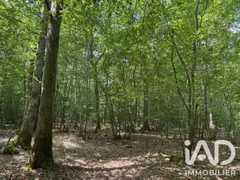 Vente Terrain 211447 m&sup2;Lantan