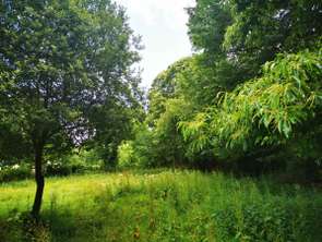 Vente Terrain 3172 m&sup2;Lantic