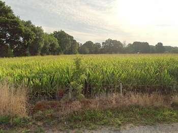 Vente Terrain 474 m&sup2;Lanvallay