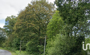 Vente Terrain 2690 m&sup2;Lanvénégen