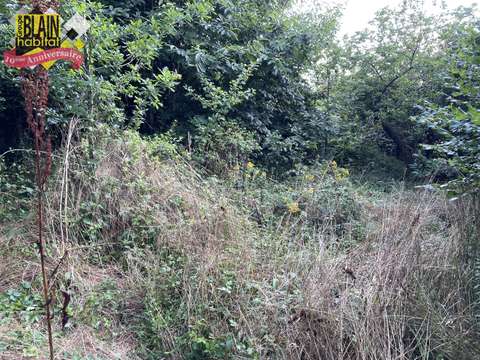 Vente de terrain Lanvénégen 56