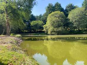 Vente Terrain 5975 m&sup2;Larchamp