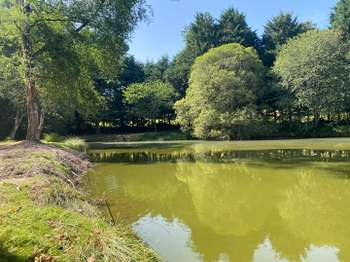 Photo Vente de terrain Larchamp