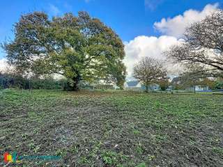 Vente de terrain 1 pièce