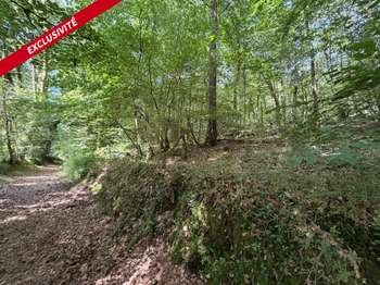 Vente de terrain Larré 56