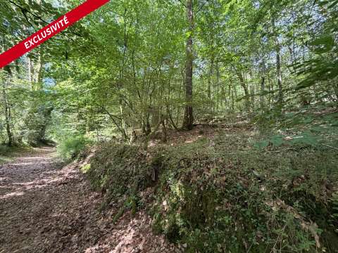 Vente de terrain Larré 56