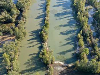Vente Terrain 73866 m&sup2;Lassicourt