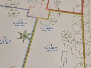 Vente Terrain 1000 m&sup2;Lassy