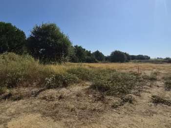 Vente Terrain 222 m&sup2;Latour-Bas-Elne