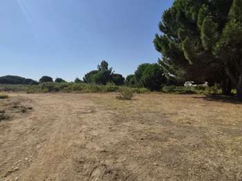 Vente Terrain 960 m&sup2;Latour-Bas-Elne