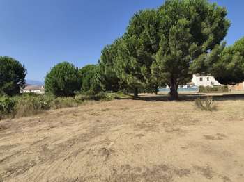 Vente Terrain 416 m&sup2;Latour-Bas-Elne