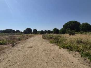 Vente Terrain 433 m&sup2;Latour-Bas-Elne