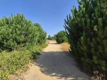 Vente Terrain 343 m&sup2;Latour-Bas-Elne
