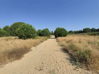 Vente Terrain 190 m&sup2;Latour-Bas-Elne