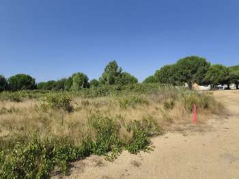 Vente Terrain 276 m&sup2;Latour-Bas-Elne