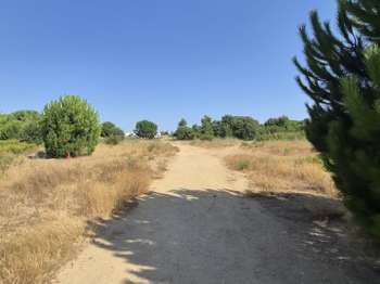 Vente Terrain 505 m&sup2;Latour-Bas-Elne
