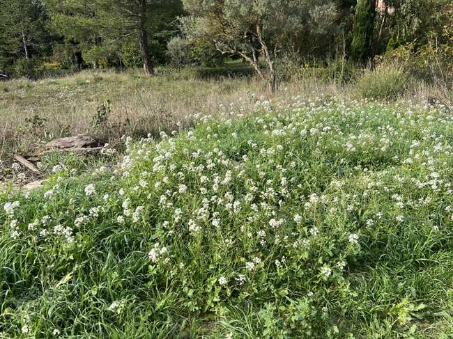 Terrain 828 m² · au Beausset · 828 m² · 349 000 €