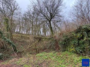 Vente Terrain 4705 m&sup2;Le Beny-Bocage