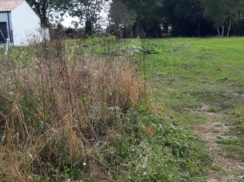Vente de terrain Le Bernard 85