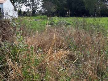Vente de terrain