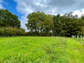 Vente de terrain
