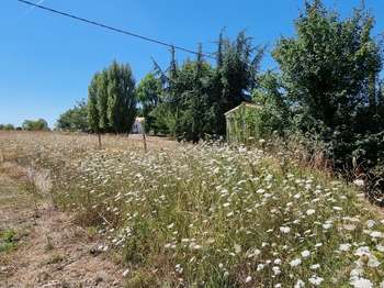 Vente de terrain