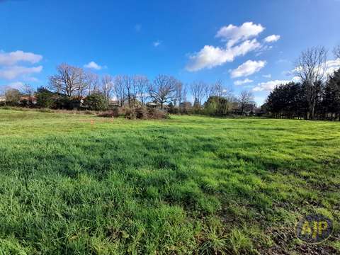 Vente de terrain Le Champ-Saint-Père 85