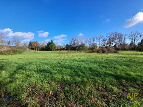 Vente de terrain Le Champ-Saint-Père 85