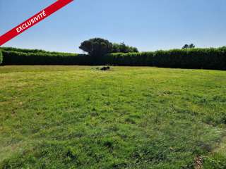 Vente de terrain