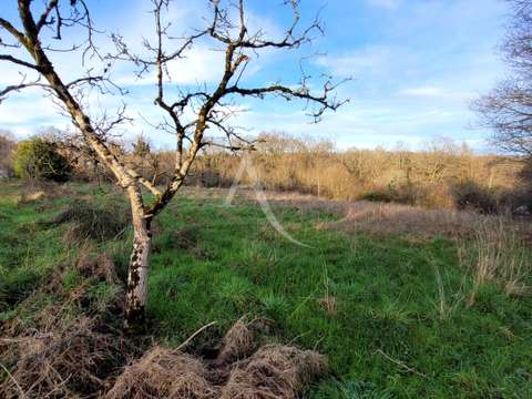 Vente de terrain Le Champ-Saint-Père 85