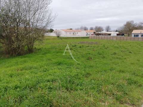 Vente de terrain Le Champ-Saint-Père 85
