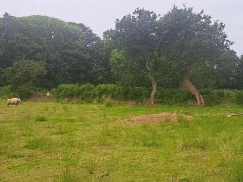 Vente de terrain Le Conquet 29