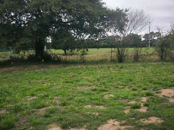 Vente de terrain