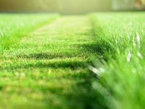 Vente Terrain 598 m&sup2;Le Faou