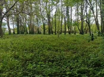 Vente Terrain 2174 m&sup2;Le Faouët