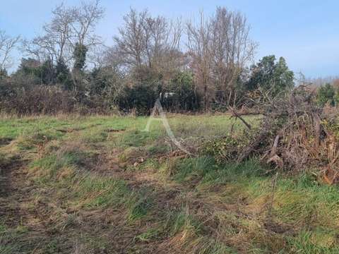 Vente de terrain Le Fenouiller 85