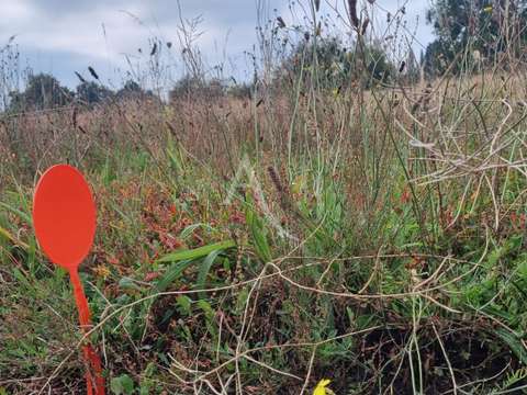 Vente de terrain Le Fenouiller 85