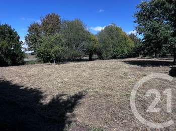 Vente Terrain 3083 m&sup2;Le Fenouiller