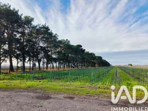 Vente Terrain 1140000 m&sup2;Le Grau-du-Roi