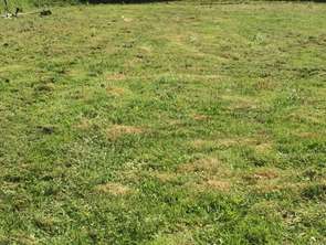 Vente Terrain 617 m&sup2;Le Houlme