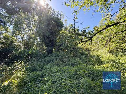 Vente de terrain Le Langon 85