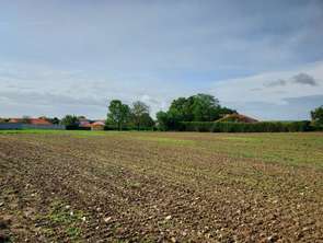 Vente Terrain 307 m&sup2;Le Loroux-Bottereau