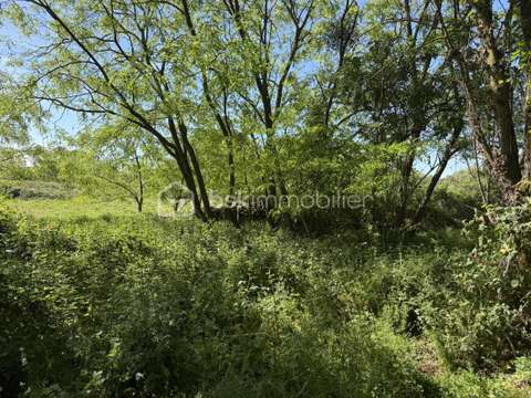Vente de terrain Le Mans ZA Z.I.S. 72