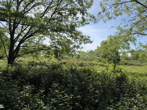 Vente de terrain