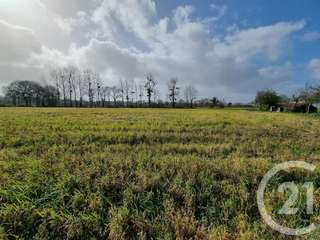 Vente de terrain
