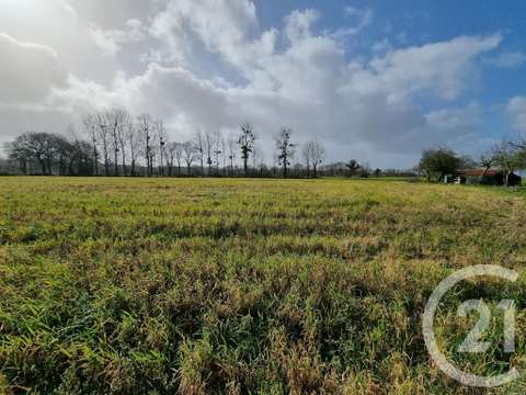 Vente de terrain