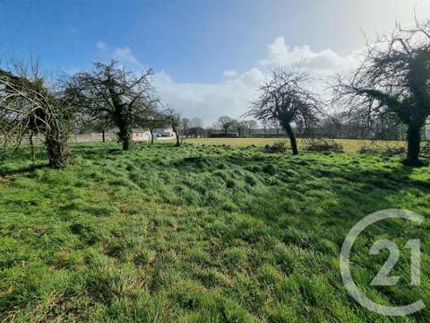 Vente de terrain