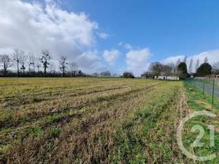 Vente de terrain